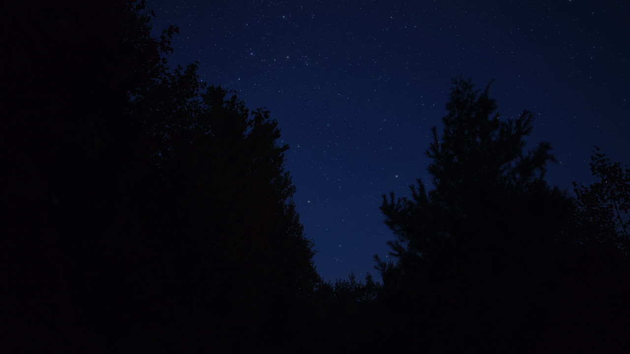 Timelapse di una foresta che passa dalla luce del giorno a un cielo stellato con la Via Lattea a Mauricie, Quebec, Canada. Gli alberi autunnali incorniciano il cielo notturno cosmico