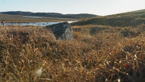 campo de tundra estéril con rocas y ríos