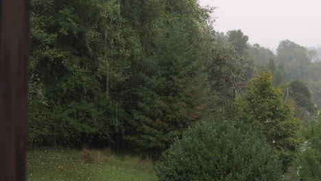 A-wet-and-rainy-afternoon-in-the-Pacific-Northwest