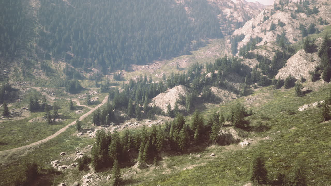 Dramatic mountains with dense forests and sunny winding trails