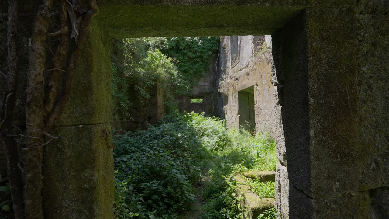 vista a través de una puerta de piedra que conduce a un patio interior cubierto de vegetación en el convento de são francisco do monte, viana do castelo, portugal