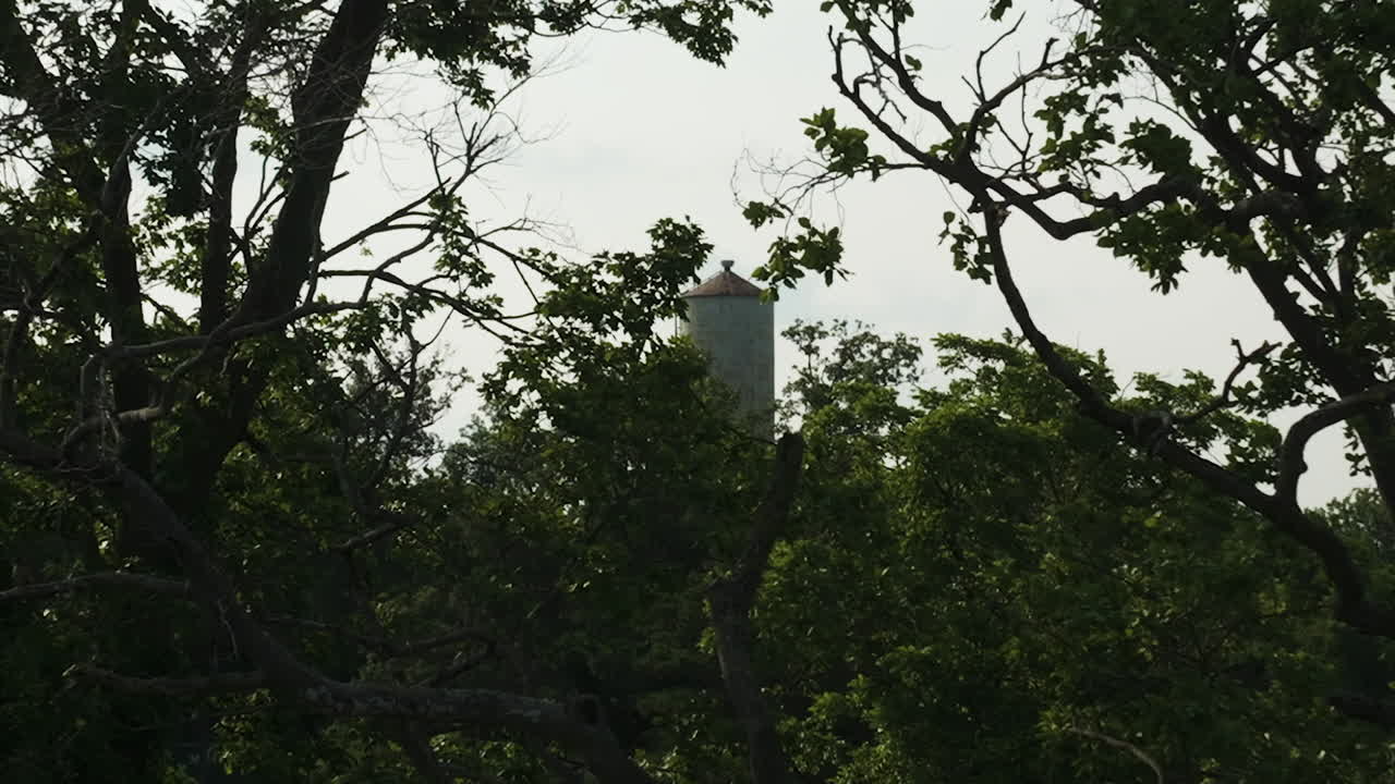 cinematográfica lateral aérea a través de las ramas de los árboles