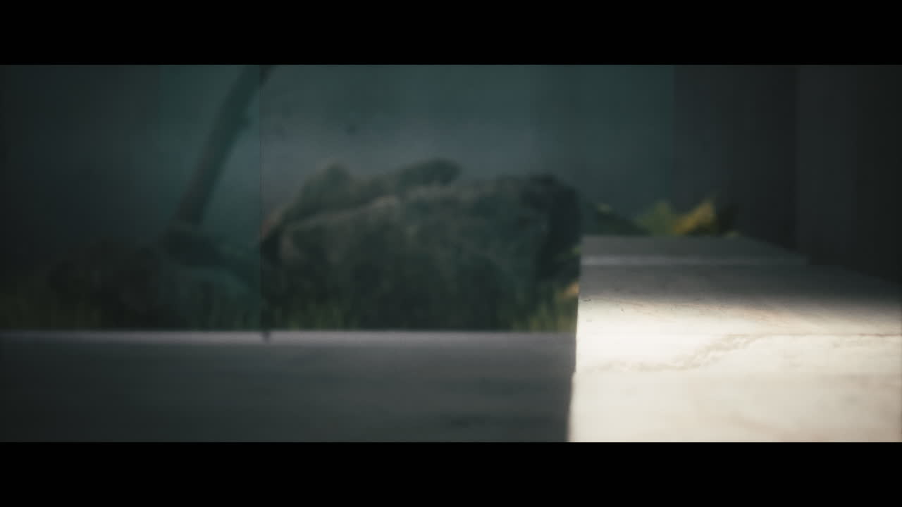 Modern Interior Steps