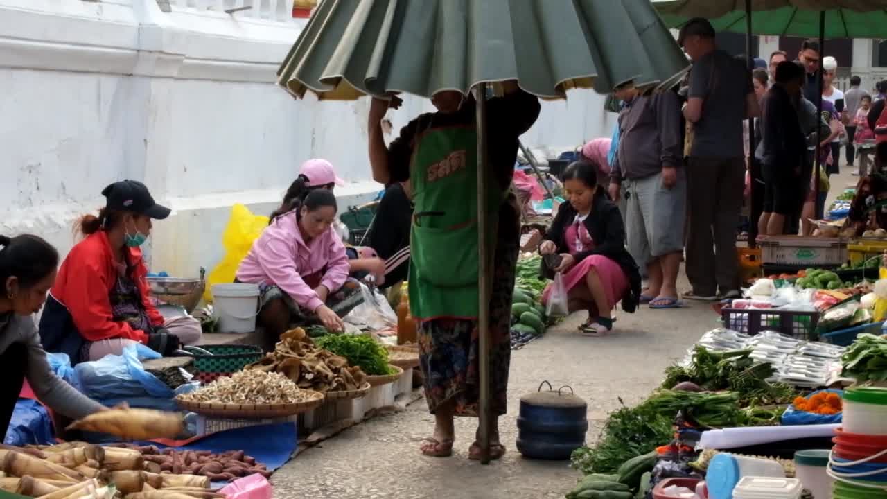 Luang Prabang morning market is the market located in the world heritage city of Luang Prabang, they use alley beside the temple to sell their goods such as fresh vegetable, fish, and wild animal.