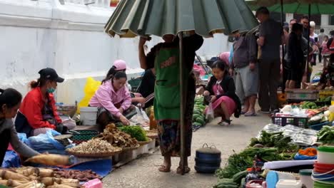 luang prabang morning market is the market located in the world heritage city of luang prabang, they use alley beside the temple to sell their goods such as fresh vegetable, fish, and wild animal.