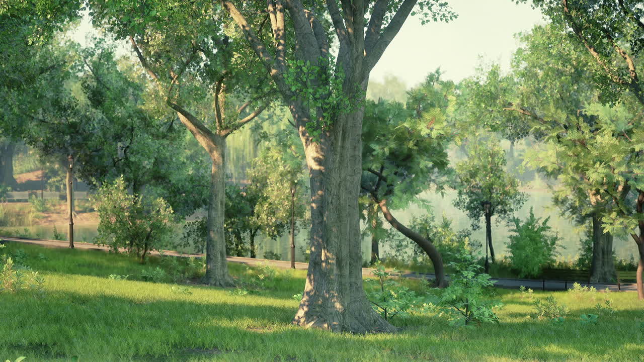 Lush green park with trees and sunlight filtering through foliage in spring