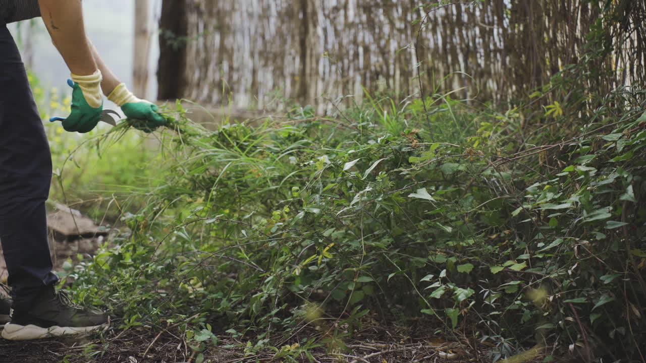 cerca de los guantes del jardinero manos hábiles desherbando en el jardín y preparando el suelo para la próxima siembra de nuevas plantas