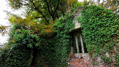 overgrown ruins covered in ivy