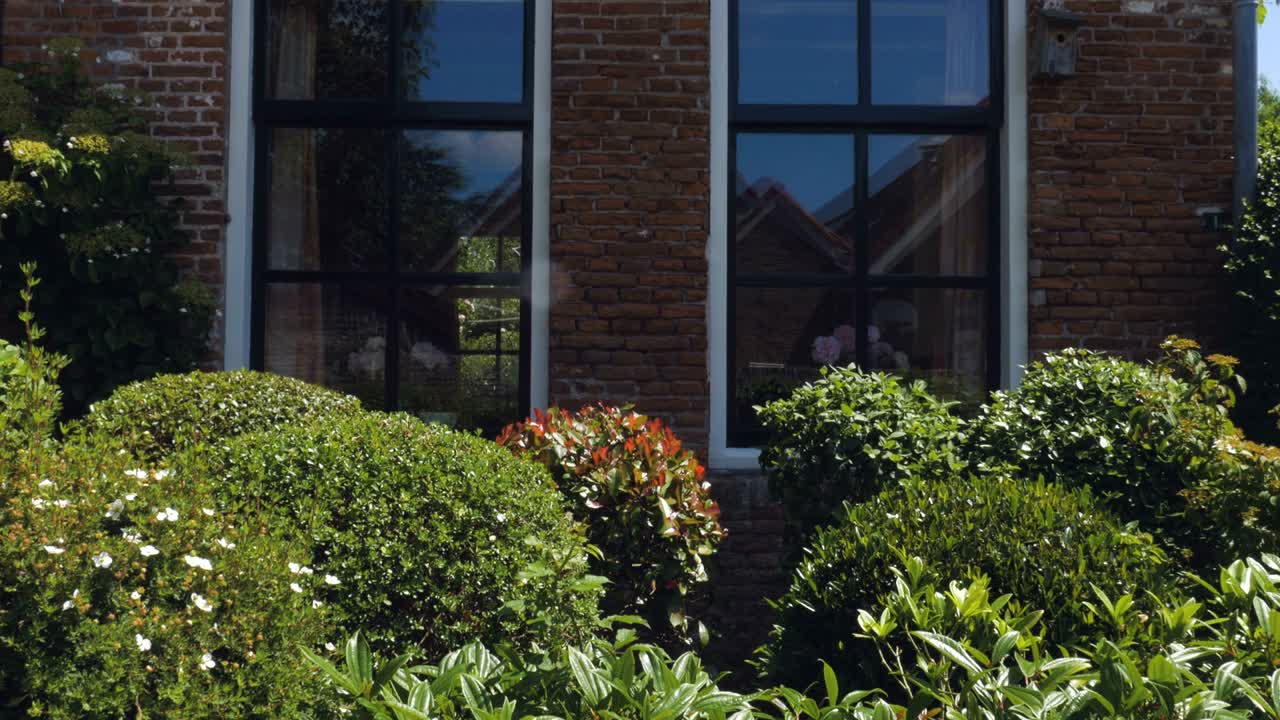 árboles decorativos y el exterior de la pared de la casa