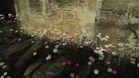 Algún-Tiempo-Pasado-En-Una-Catedral