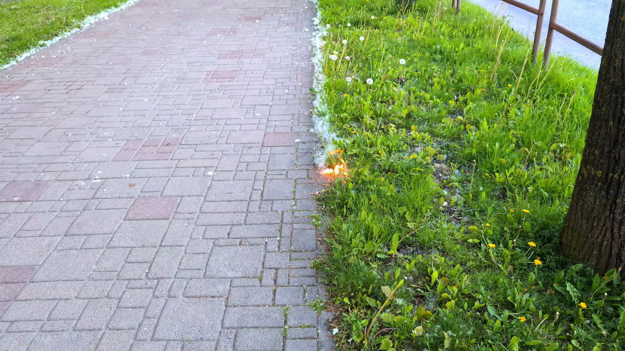 Flames briefly ignite on dry grass next to a paved sidewalk in an urban area, possibly from dandelion fluff