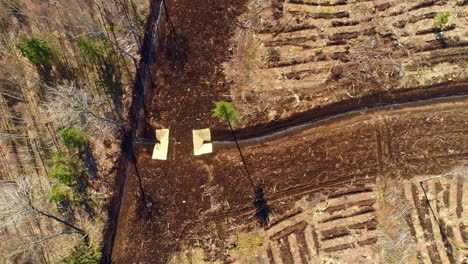 secando el agua en el arroyo a través del bosque en verano
