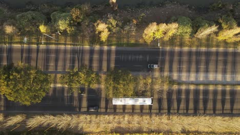 Una-Filmación-Aérea-Dinámica-De-Arriba-Hacia-Abajo-De-Un-Bulevar-Durante-La-Puesta-De-Sol-Mientras-Crea-Sombras-De-Los-árboles-A-Lo-Largo-De-La-Carretera