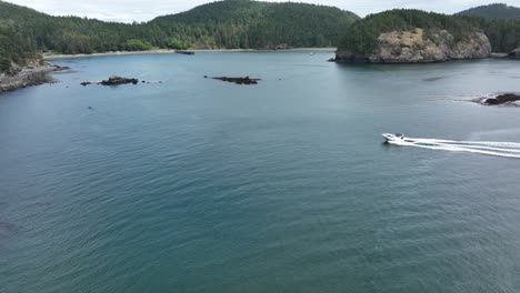 aerial view of a high speed motorboat jetting through bowman bay in the deception pass state park