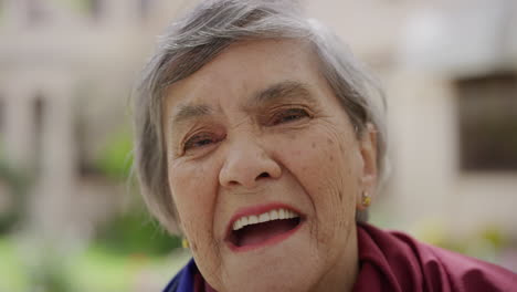 close up portrait of cheerful elderly woman laughing happy looking at camera wearing scarf