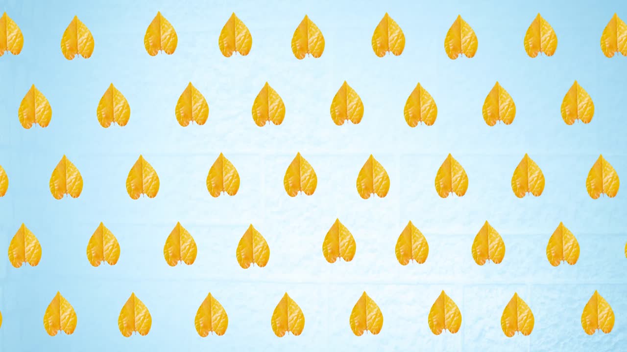파란색 배경에 가을 노란색 잎의 줄의 애니메이션