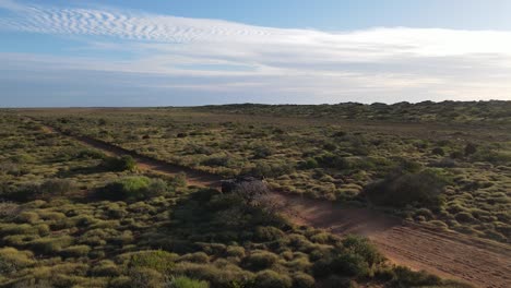 Aerial-tracking-shot-of-4x4-safari-vehicle-driving-on-rural-road-in-Australia-during-sunny-day-with-blue-sky