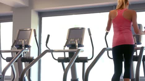 fitte vrouwen die in de sportschool trainen