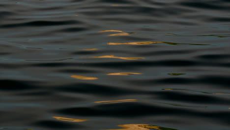 An-orange-light-reflects-off-the-smooth-rippling-dark-water