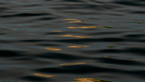 Una-Luz-Naranja-Se-Refleja-En-El-Agua-Oscura-Y-Ondulante