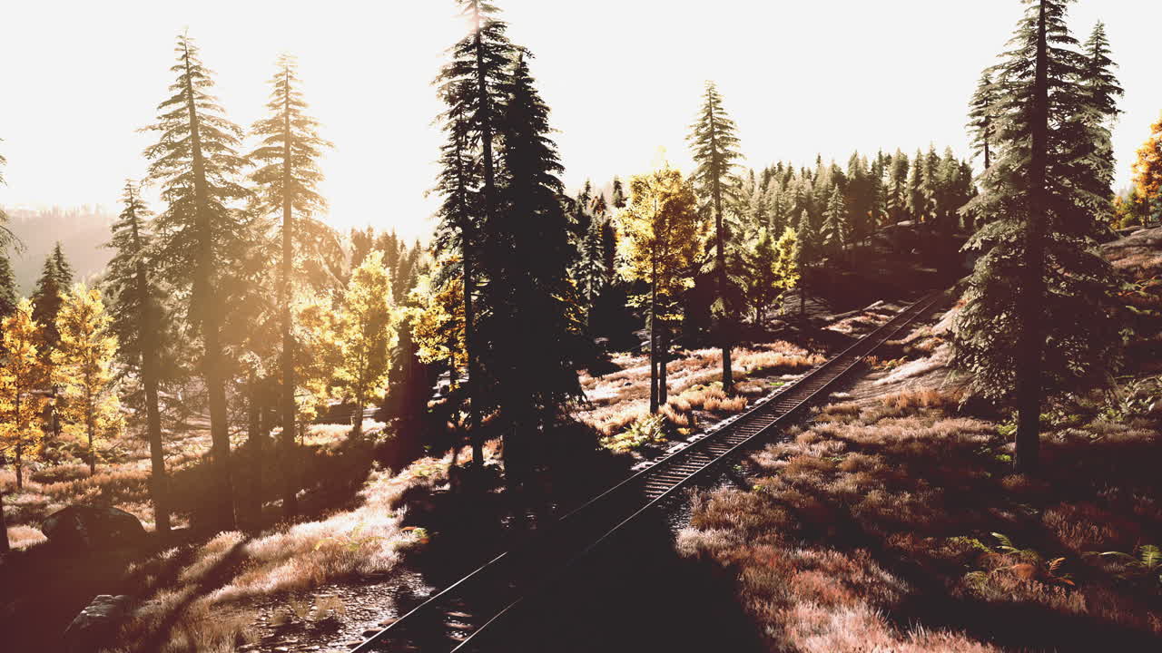 나무 를 통해 필터링 금색 빛 을 가진 숲 을 통해 휘어지는 철도 트랙 의 경치 좋은