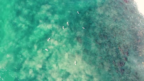 drone aerial video pan shot of pacific ocean waves on reef surfers surfing crystal clear water travel tourism old bar taree nsw coastline australia 4k