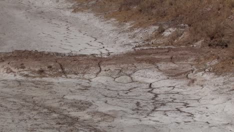 salinidad de las tierras secas en el sur de california debido al calor cerca del salton sea-1