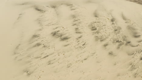 Large-sand-dunes-stand-proudly-in-the-yellow-late-afternoon-sunset-over-the-Kelso-Dunes-in-the-Mojave-Desert