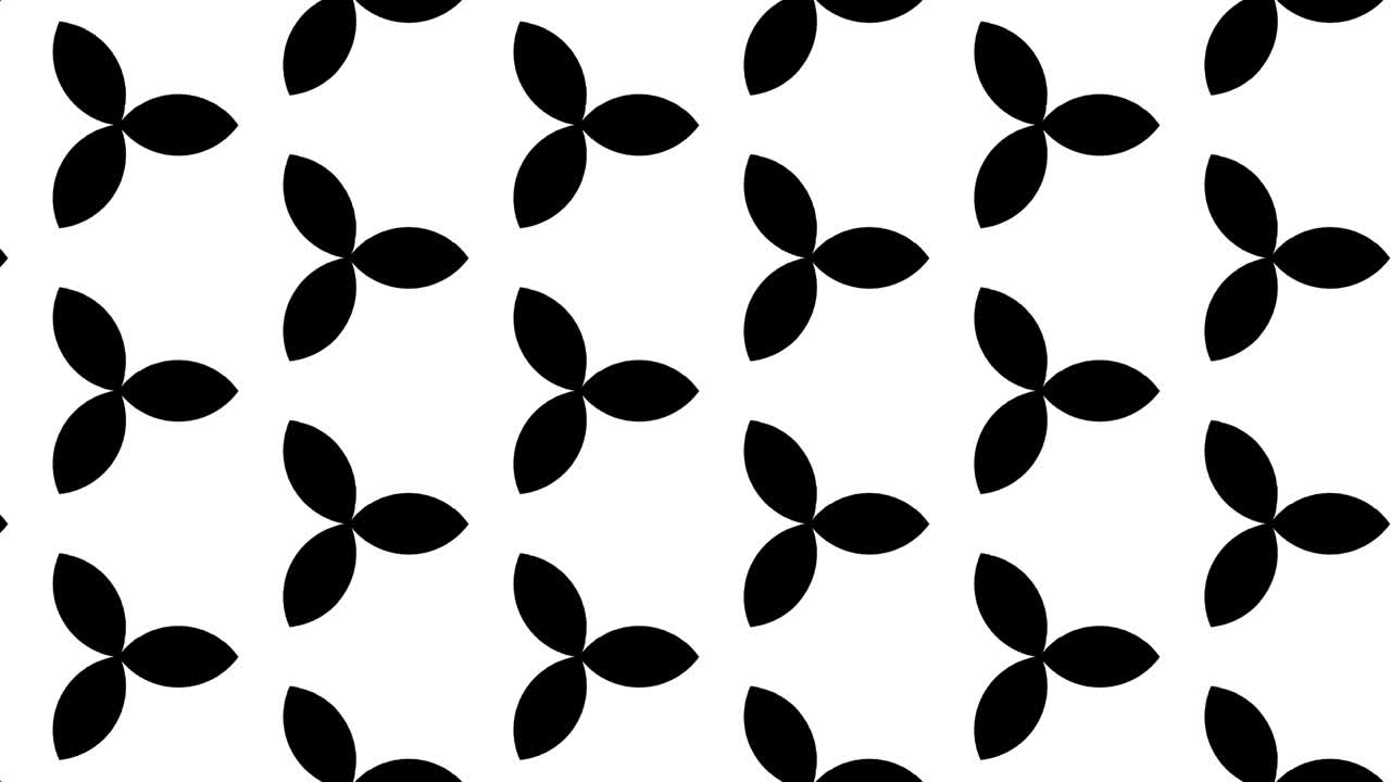 검은색과 색의 그래픽 패턴은 스트로보스코픽과 최면 효과를 가지고 있으며, 크기가 커지고 그 다음에는 줄어든다.