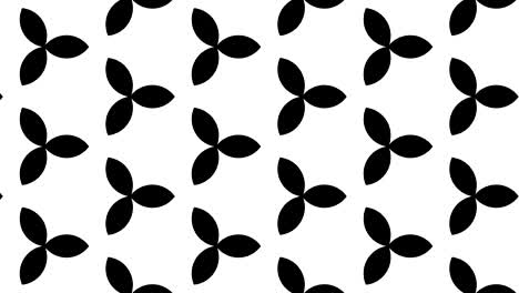 graphic pattern in black and white with stroboscopic and hypnotic effect, while increasing in size and then reducing it.