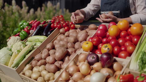 las manos del agricultor colocando patatas en el mostrador del mercado del agricultor