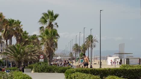 people rollerskating and walking on hot summer day, promenade with palm trees next to valencia beach, spain