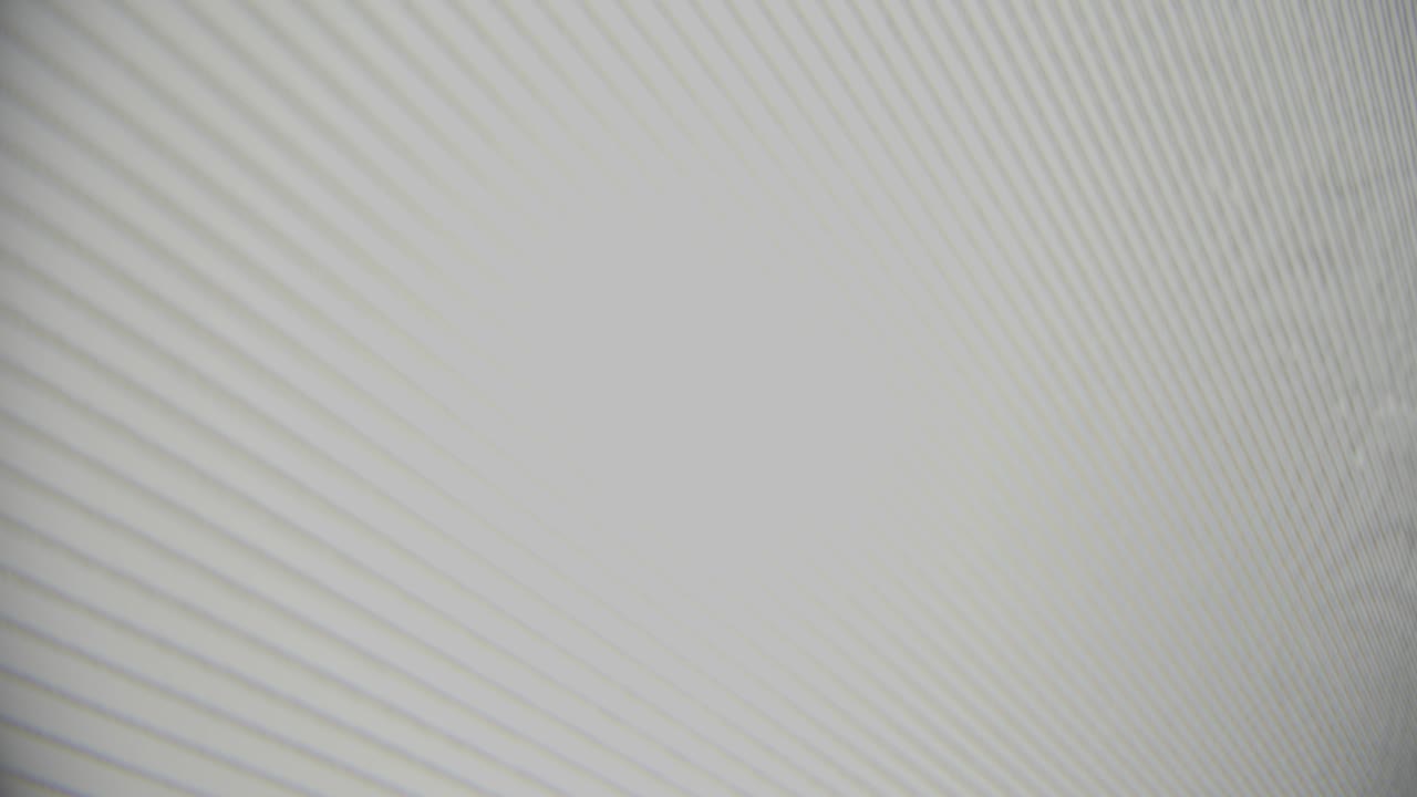 Two pieces of printed plastic sheets forming abstract moiré patterns