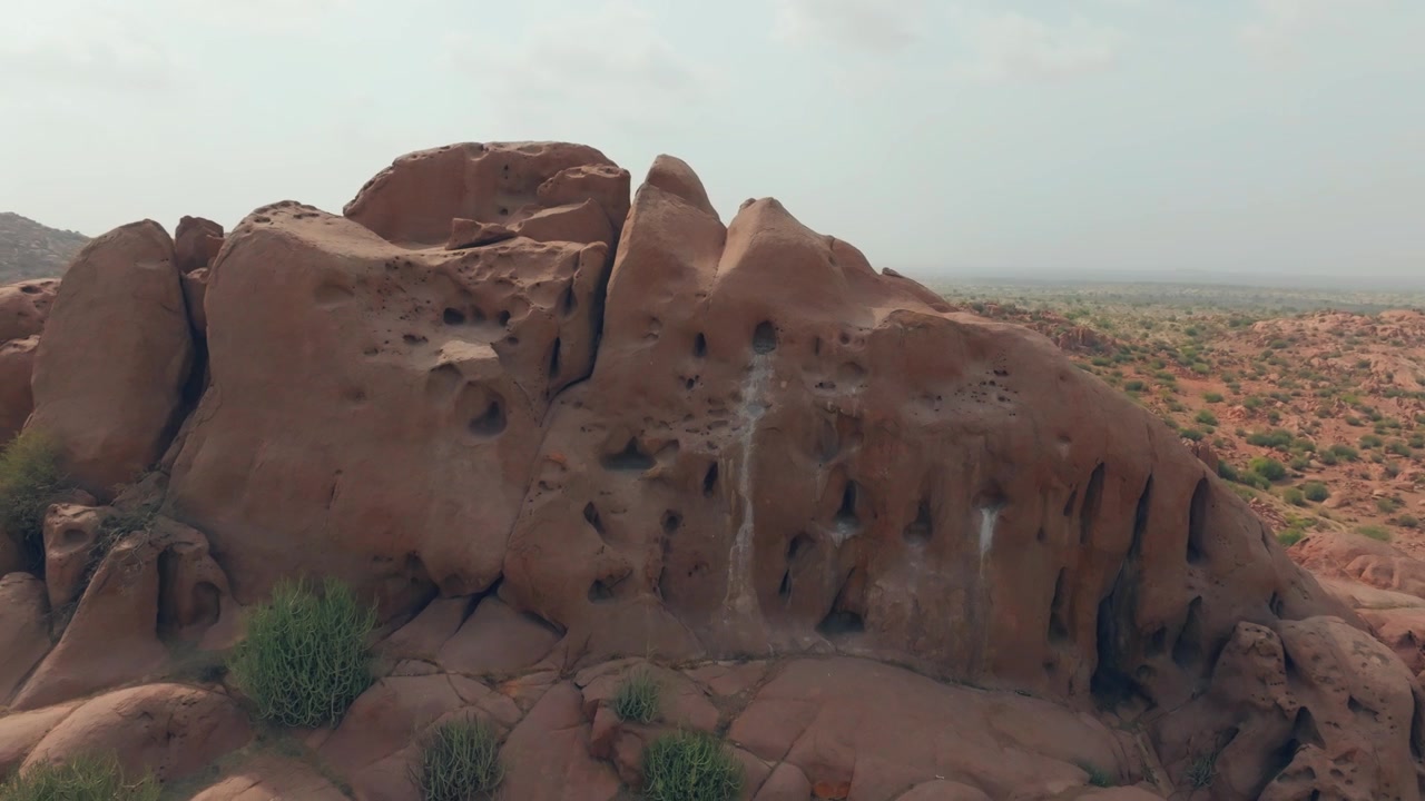 Un nido di aquila fulva si trova in una scogliera di arenaria scavata mentre la telecamera si allontana per rivelare i dintorni desertici e aridi