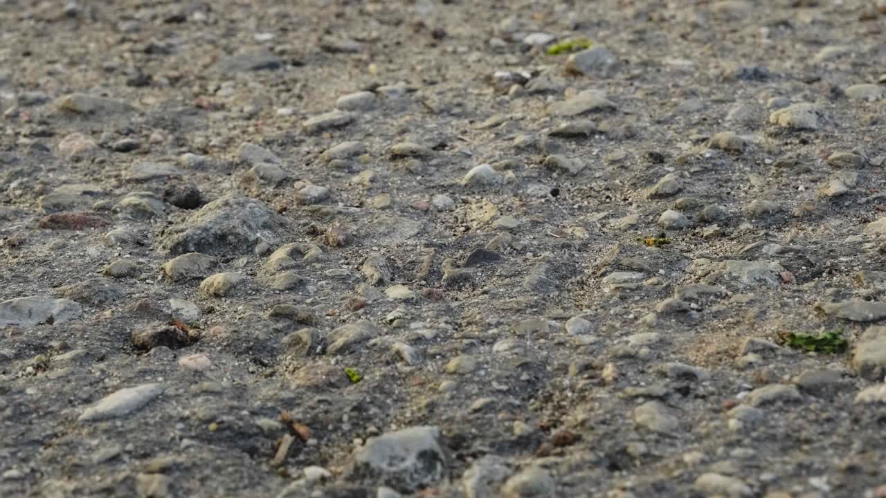 ⁇ 은 돌로 된 아스팔트의 느린 슬라이딩  ⁇