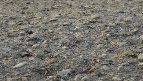 slow sliding shot of old stoney asphalt