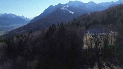 Drone-fly-straight-up-a-tree-revealing-beautiful-mountain-landscape-in-austria-during-winter