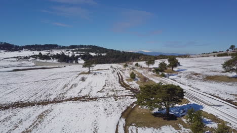 Tiro-De-Drone-De-Sendero-Nevado-Rodeado-De-Pinos-Cerca-Del-Lago-En-Invierno