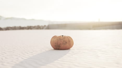 halloween pumpkin on the beach dunes