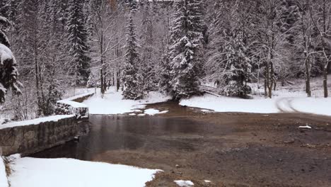 Entspannende-Schneebedeckte-Niebieskie-Źródła-Polnischer-Blauer-Quellenbach-Und-Das-Umliegende-Bewaldete-Naturschutzgebiet