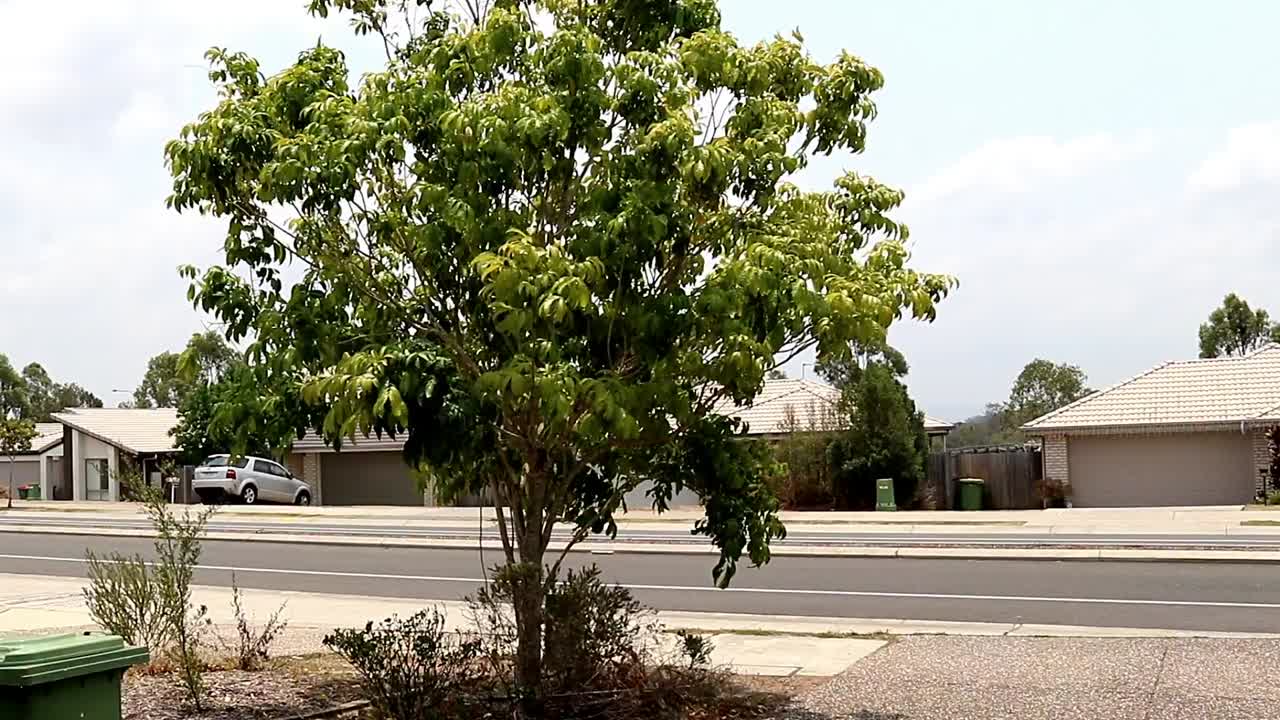 동네를 지나는 작은 빨간 자동차