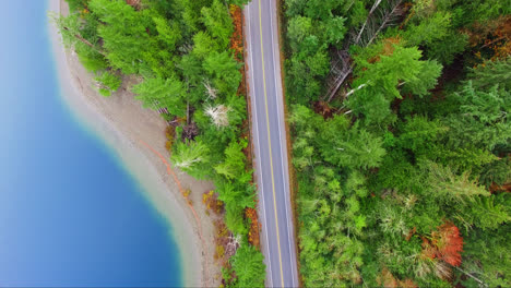 cars driving along coastal road through pine forest next to river shoreline in port alberni region, british columbia canada, aerial top down view