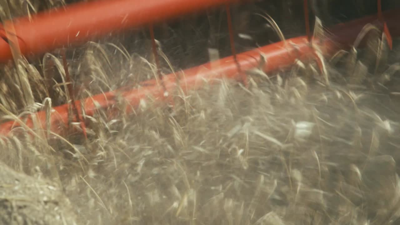 수확기는 독일 마그데부르크의 들판에서 밀을 수확합니다