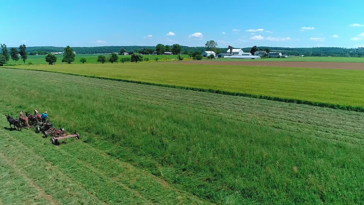 Farm workers are busy harvesting crops in a large green field under a clear blue sky. The landscape shows a variety of crops and tractors moving about. The workers are focused on collecting produce