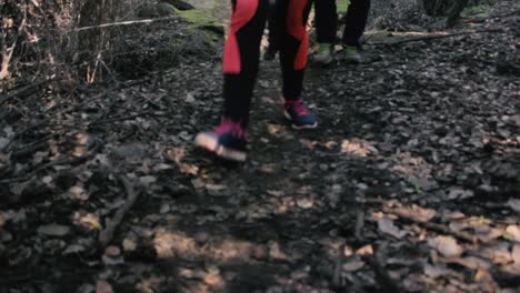 Camera-facing-the-steps-of-people-walking-of-the-trail