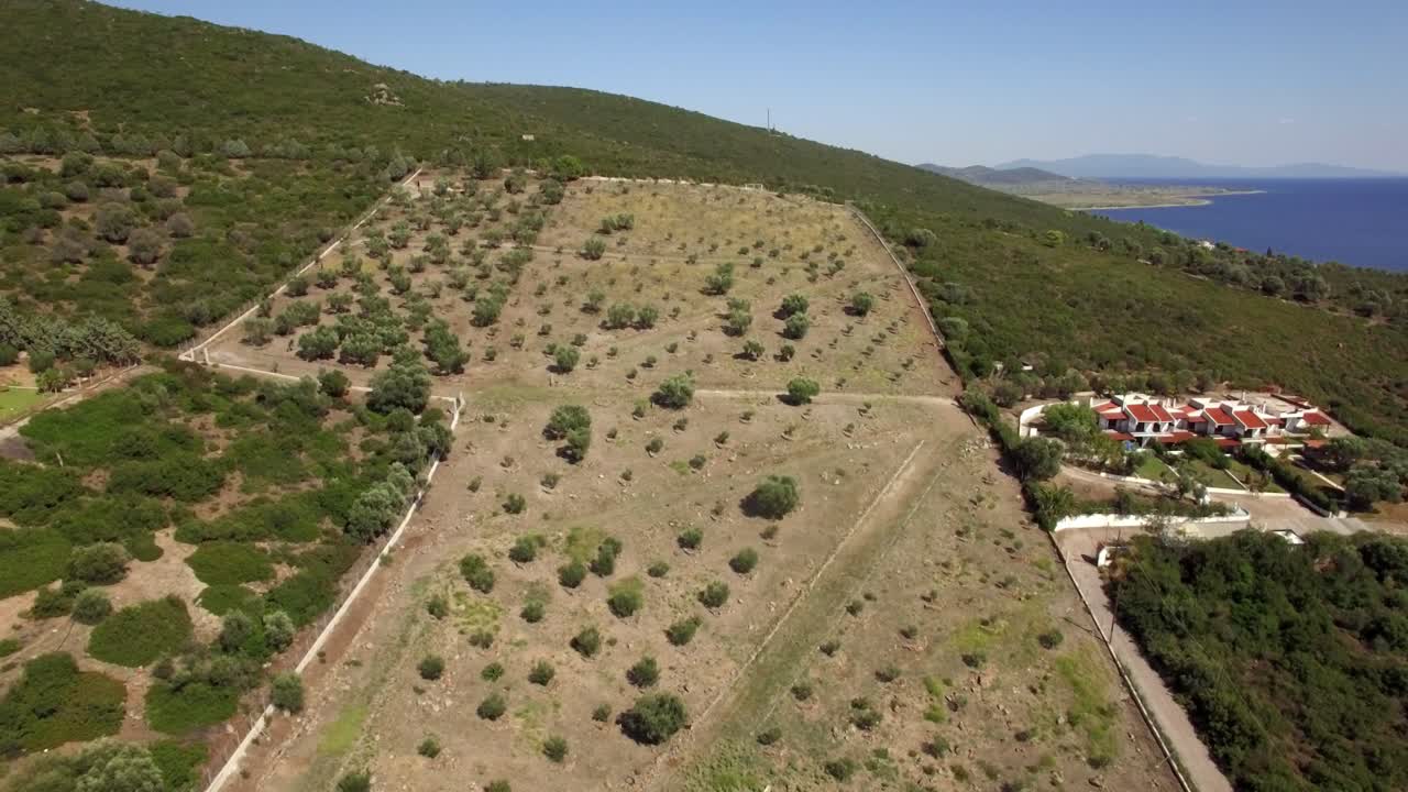 volando sobre el jardín verde de olivos y las colinas verdes de grecia