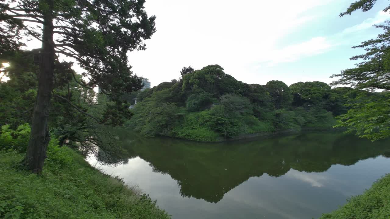 도쿄 치도리가푸치 (tokyo chidorigafuchi) 2022년