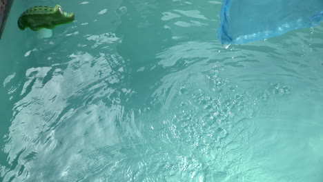 clearing trash off the surface of a swimming pool with a telescopic pool cleaning net