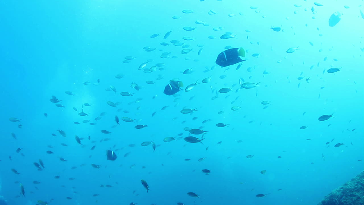 멕시코 다이빙 0 25