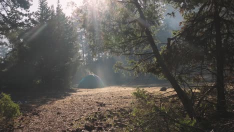 Establecimiento-De-Una-Toma-De-Camping-En-Medio-Del-Bosque,-Sol-A-Través-De-Los-árboles,-Ecoturismo,-Rayos-De-Sol-Y-Carpa